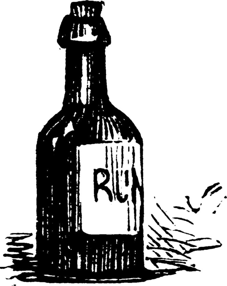botella de ron, ilustración vintage. vector