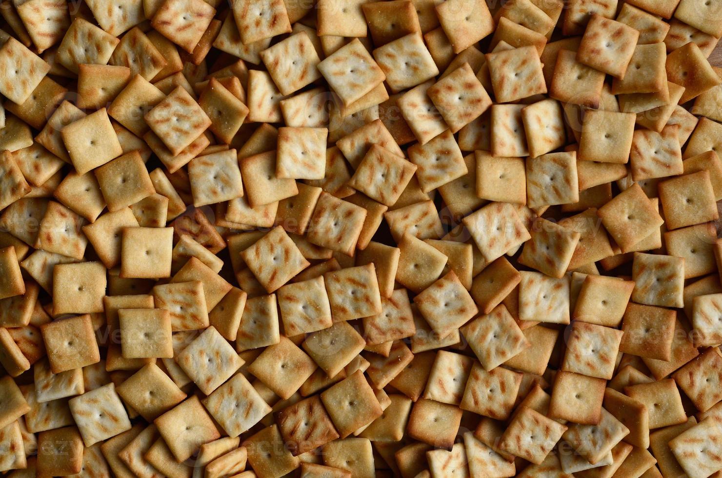 Background texture of small edible squares baked from dough and sprinkled with salt. A lot of salt cracker photo