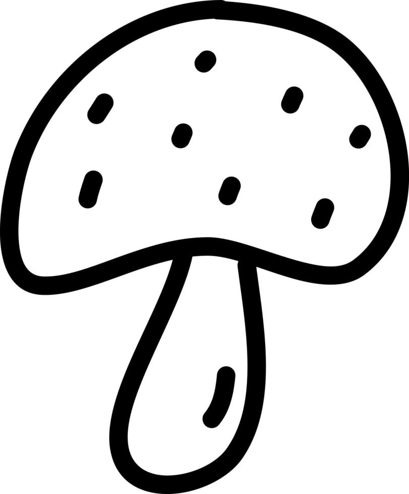 Cultivated mushroom, illustration, vector on a white background