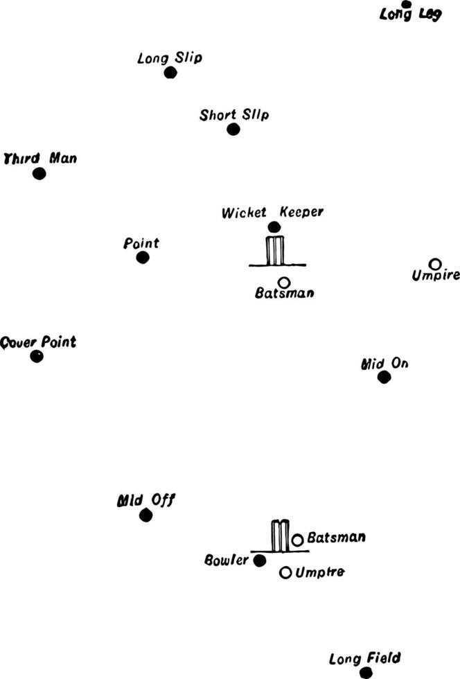 ilustración vintage del campo de cricket. vector