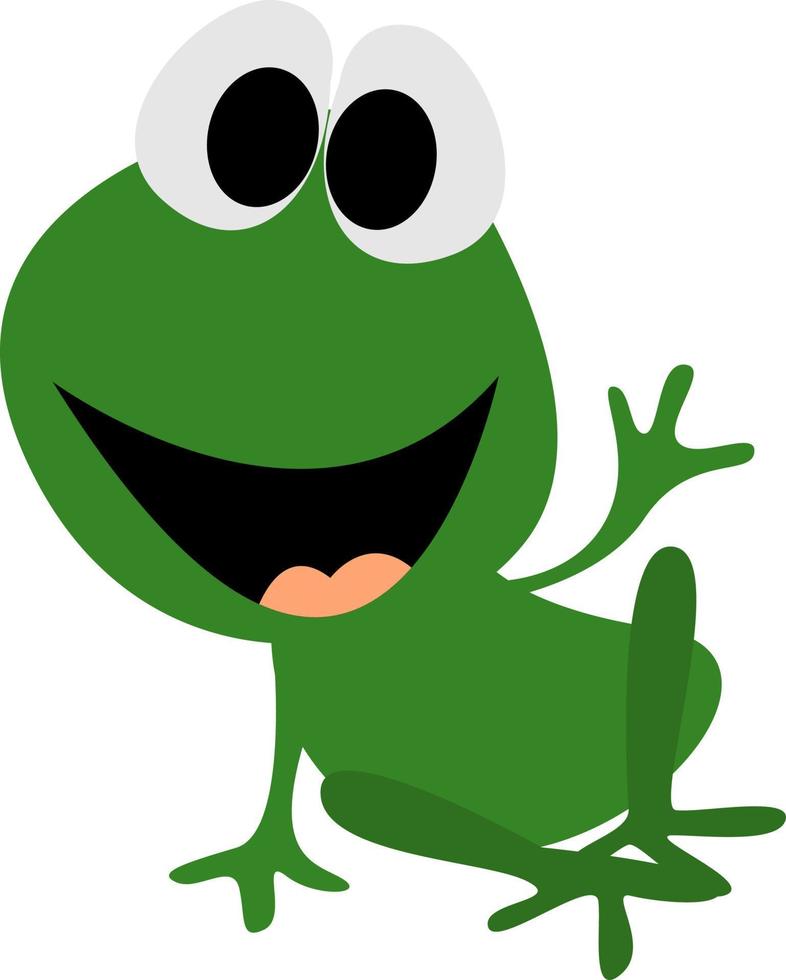 Green frog, illustration, vector on white background.