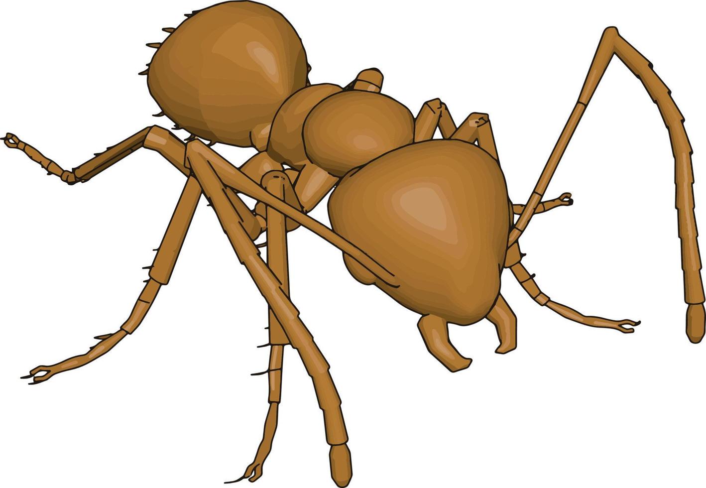 3D brown ant vector