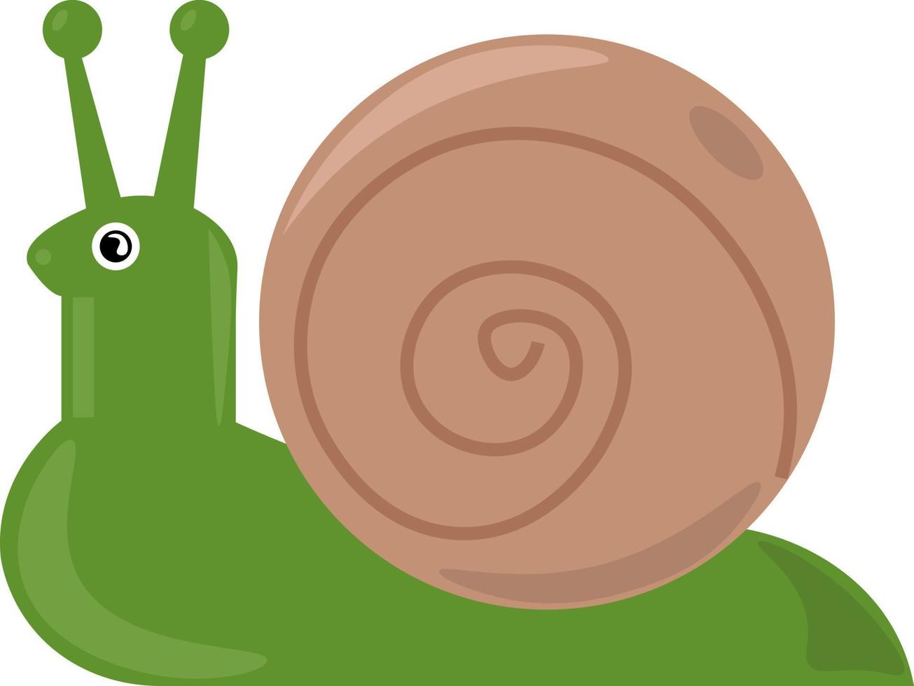 Caracol verde, ilustración, vector sobre fondo blanco.