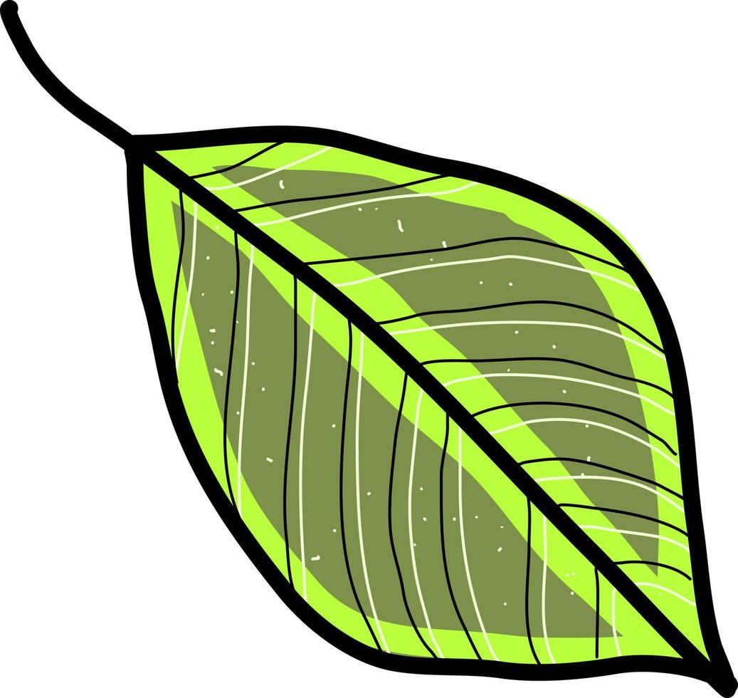 Tree leaf, illustration, vector on white background.