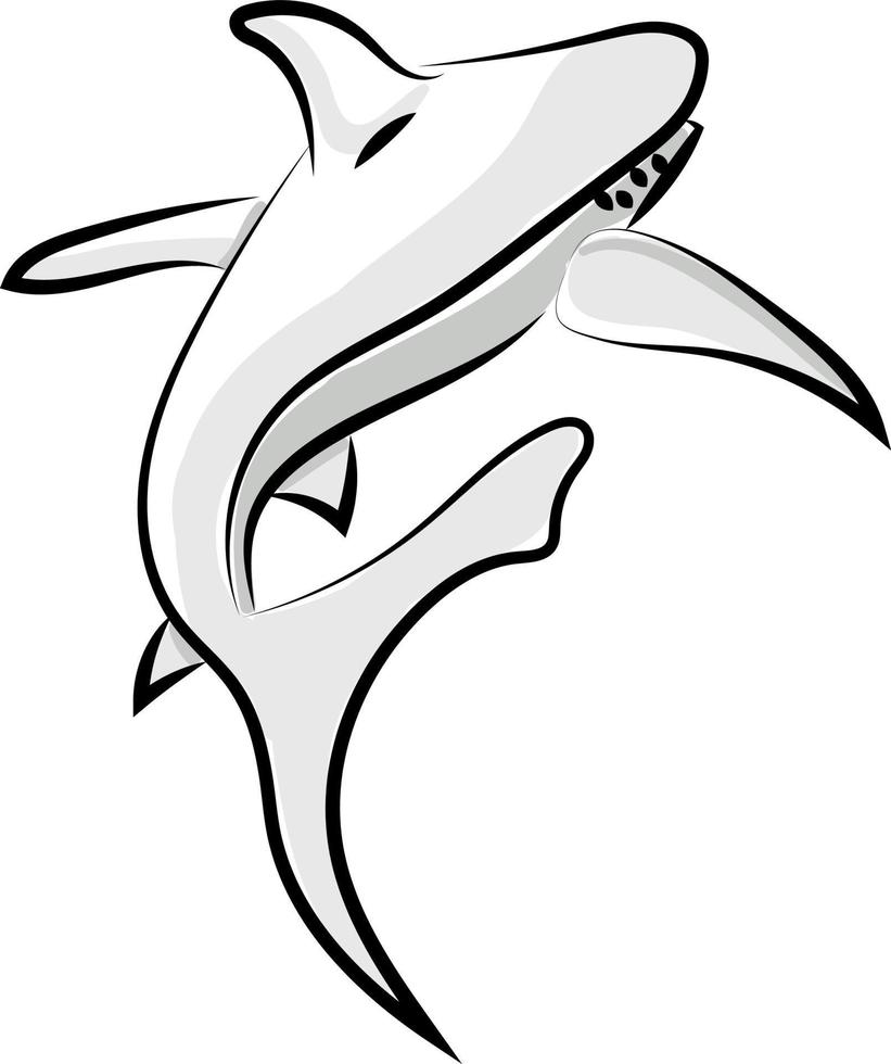Shark drawing, illustration, vector on white background.