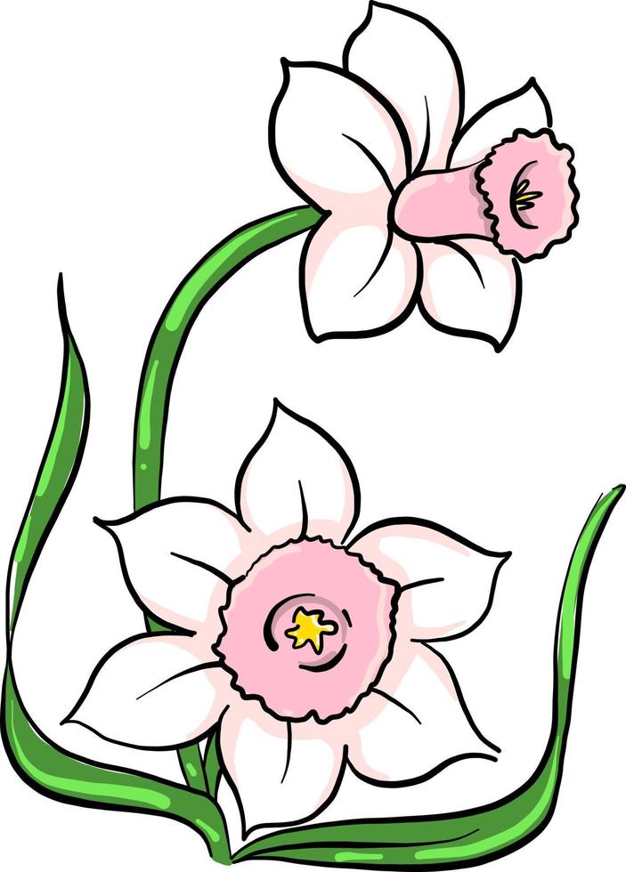 Pink flowers , illustration, vector on white background