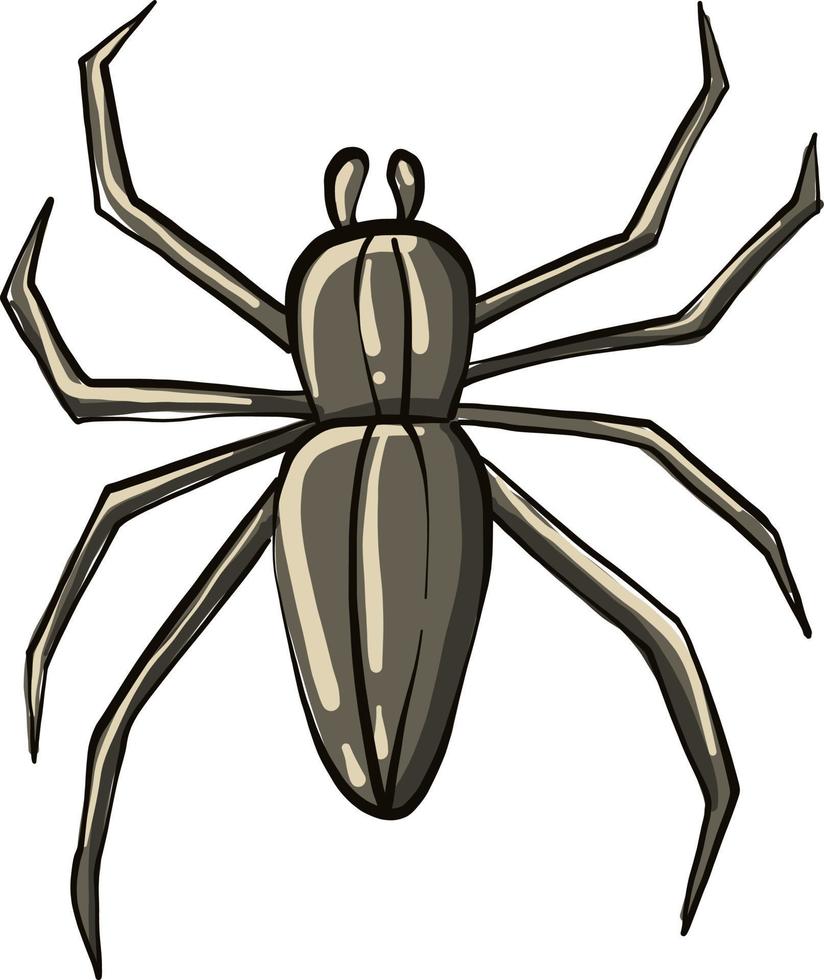 araña aterradora, ilustración, vector sobre fondo blanco