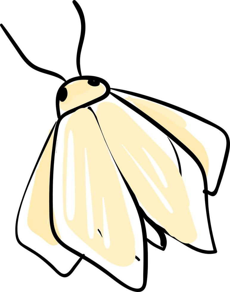 Moth drawing, illustration, vector on white background.