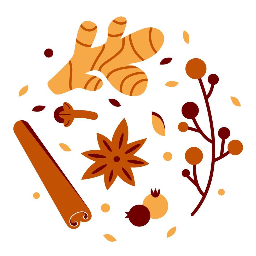 A set of spices and herbs. Ingredients for the recipe are cinnamon, anise, cloves and ginger. beige and brown vector