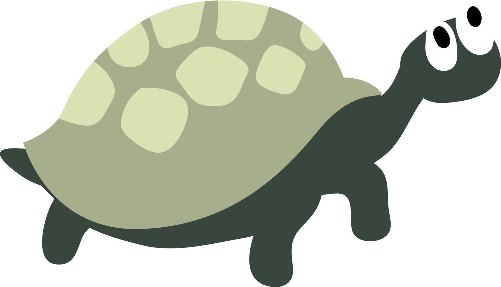 Turtle, illustration, vector on white background.