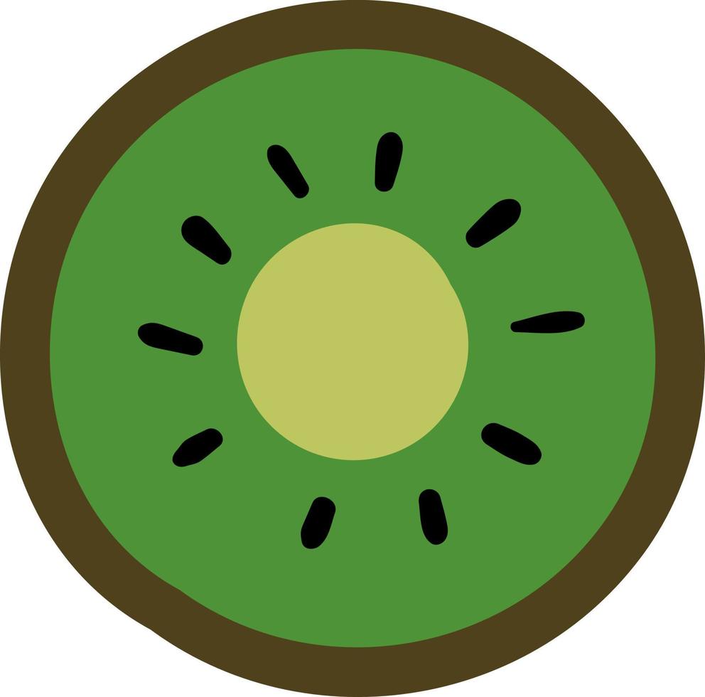 Green kiwi the fruit in half, illustration, vector on white background.