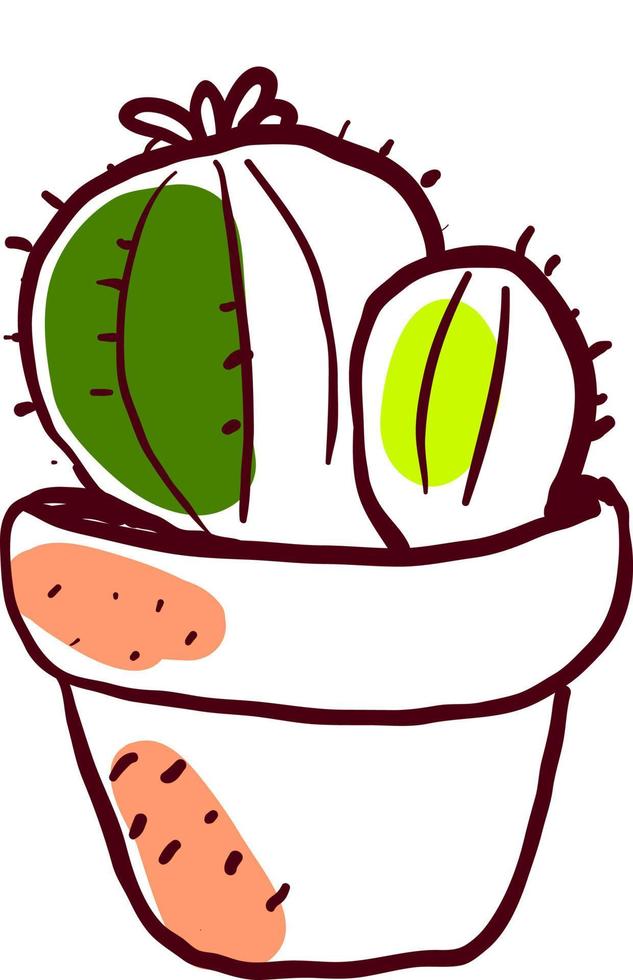Cactus drawing, illustration, vector on white background.