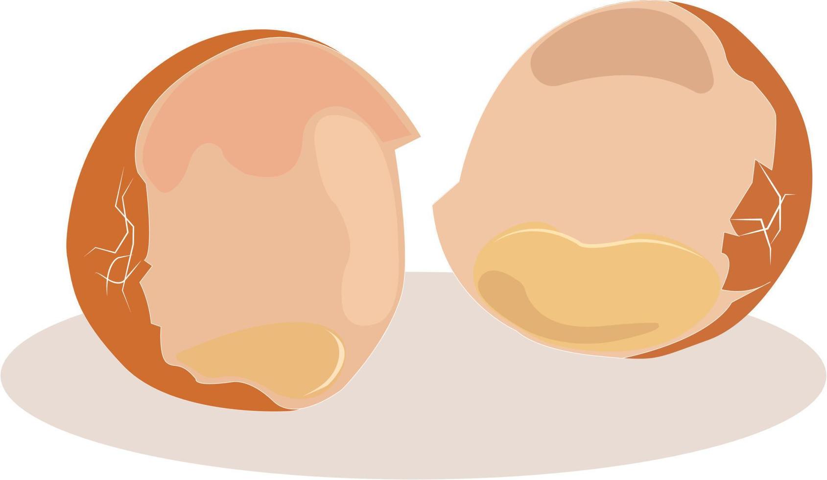 Egg shell, illustration, vector on white background.