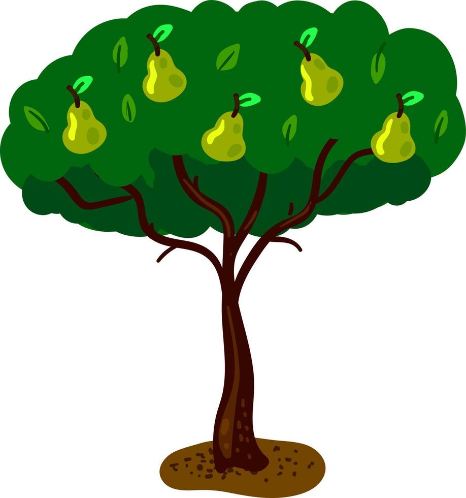 peras verdes en el árbol, ilustración, vector sobre fondo blanco