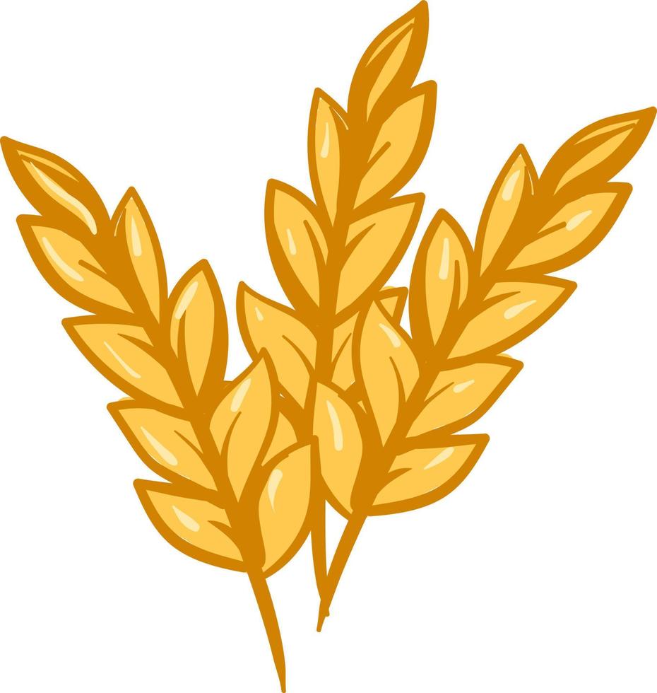 Lot of wheat, illustration, vector on white background.