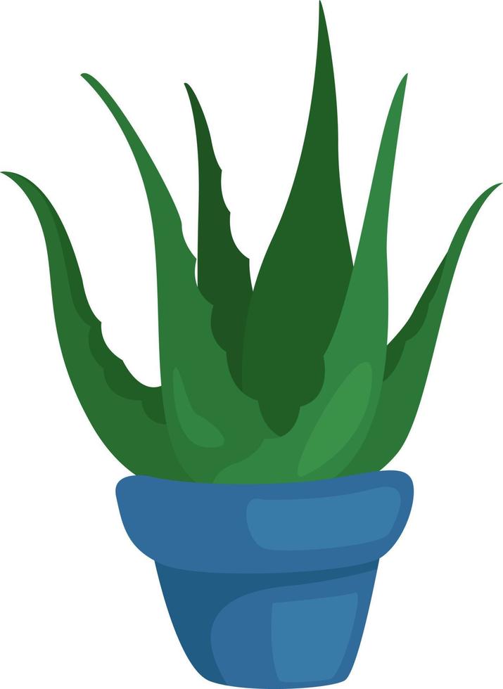 aloe verde en una olla azul, ilustración, vector sobre fondo blanco