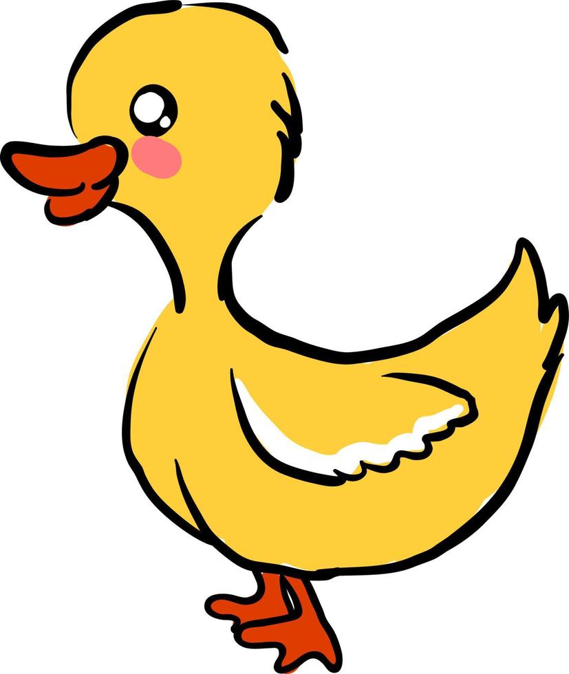 Cute little duck, illustration, vector on white background.