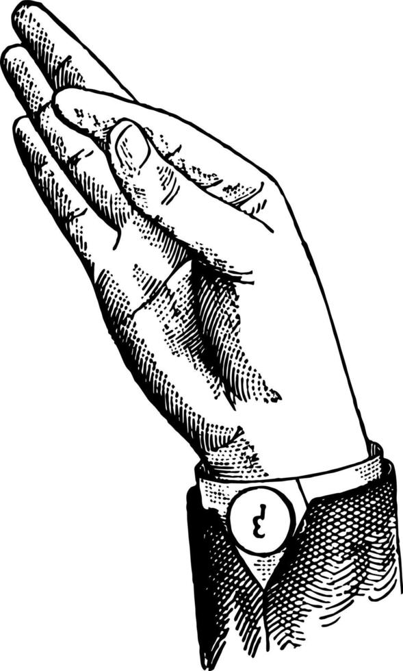 Indicated Low Wide Back Glide, vintage illustration. vector