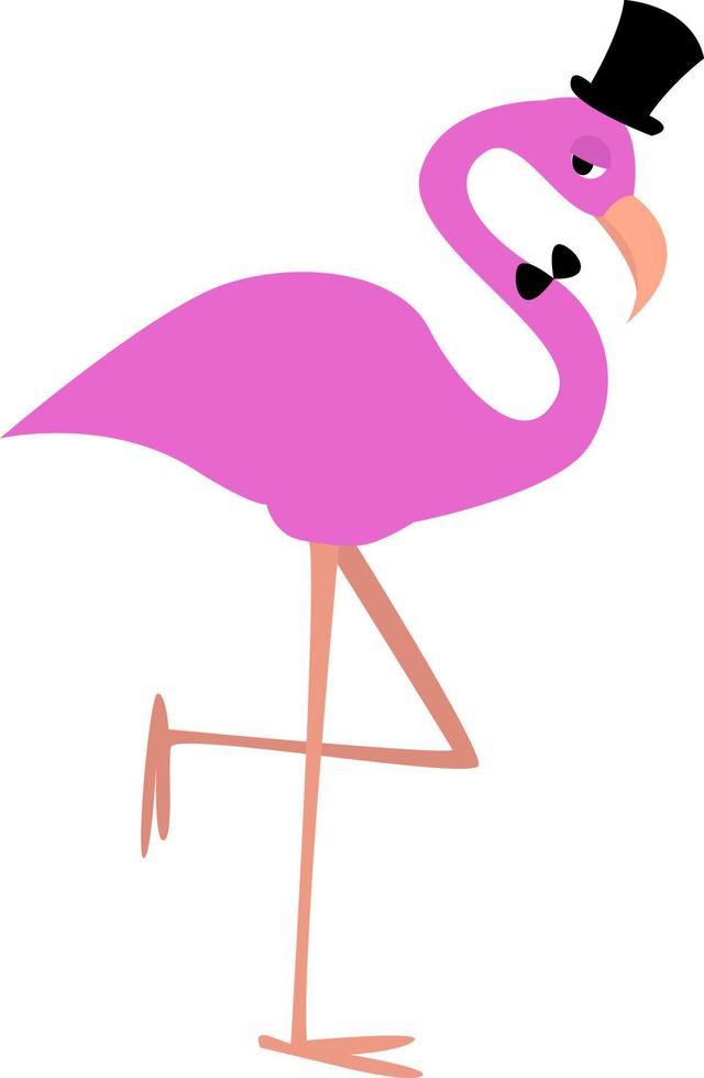 Flamingo con sombrero, ilustración, vector sobre fondo blanco.