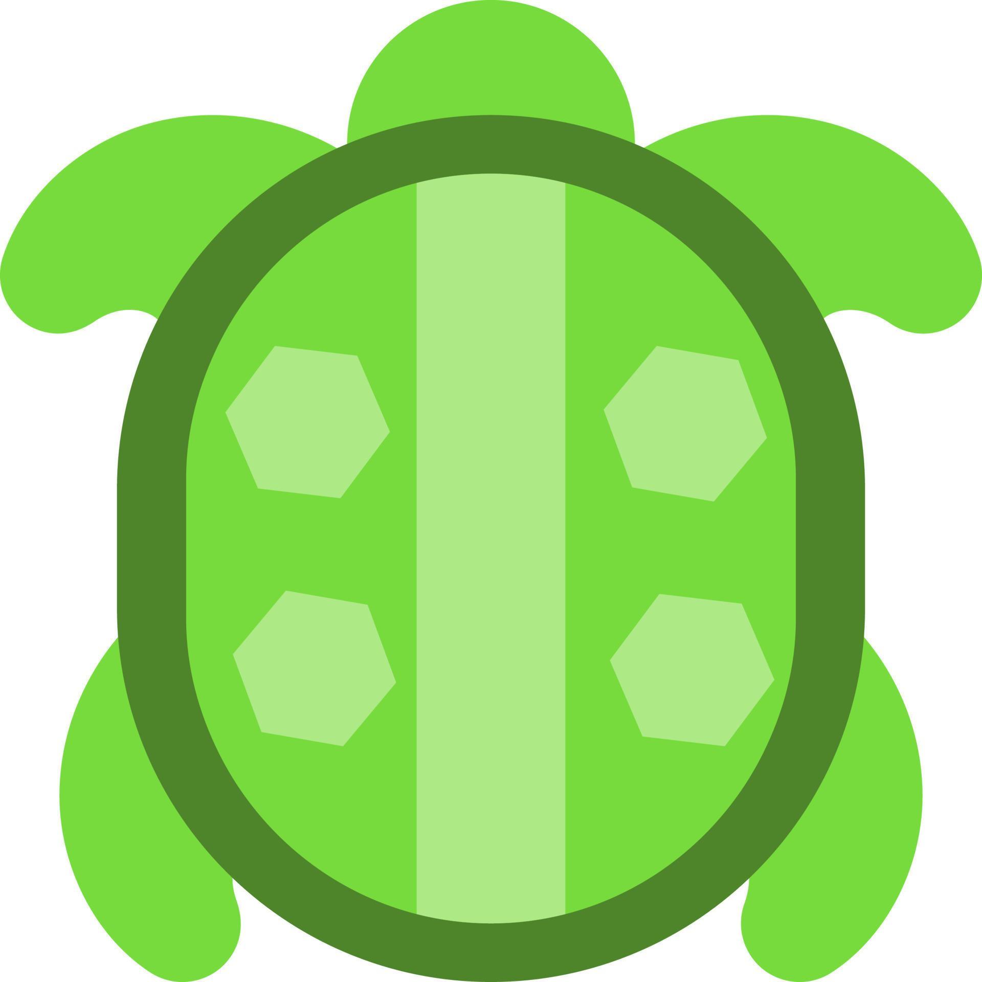 Green turtle, illustration, vector, on a white background. 13606439