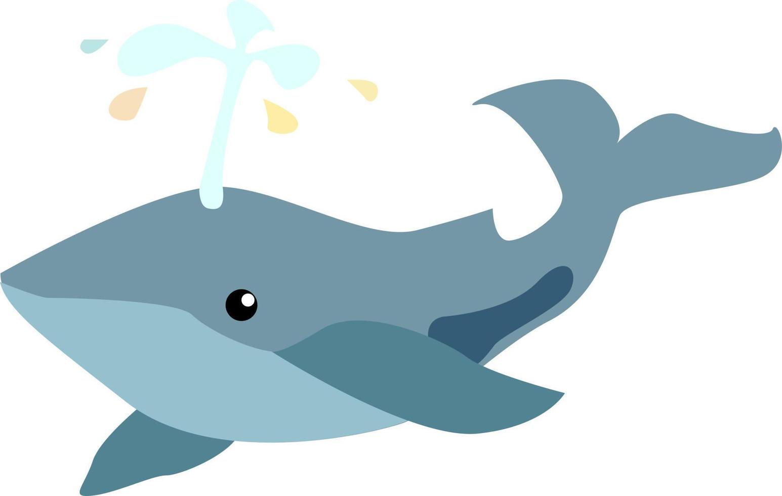 Cetacea, illustration, vector on white background.