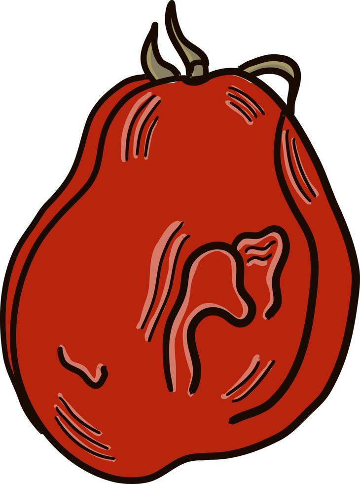 tomate podrido, ilustración, vector sobre fondo blanco.