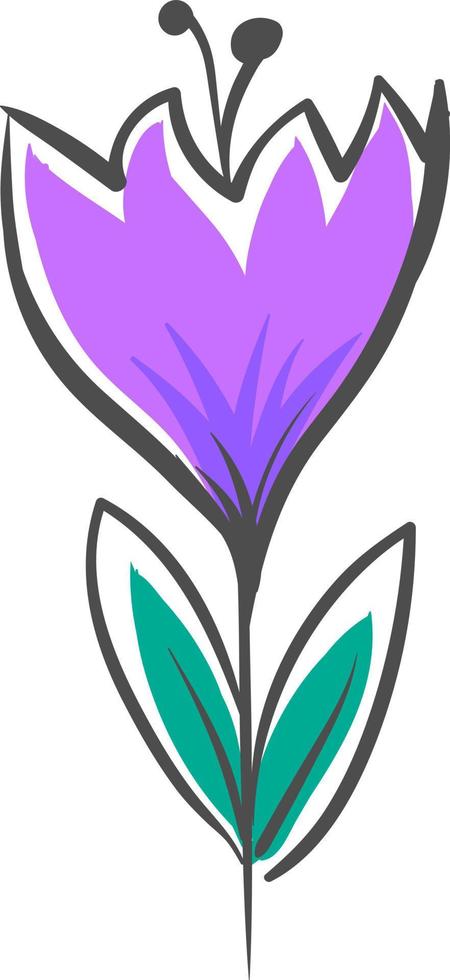 Purple flower, illustration, vector on white background.