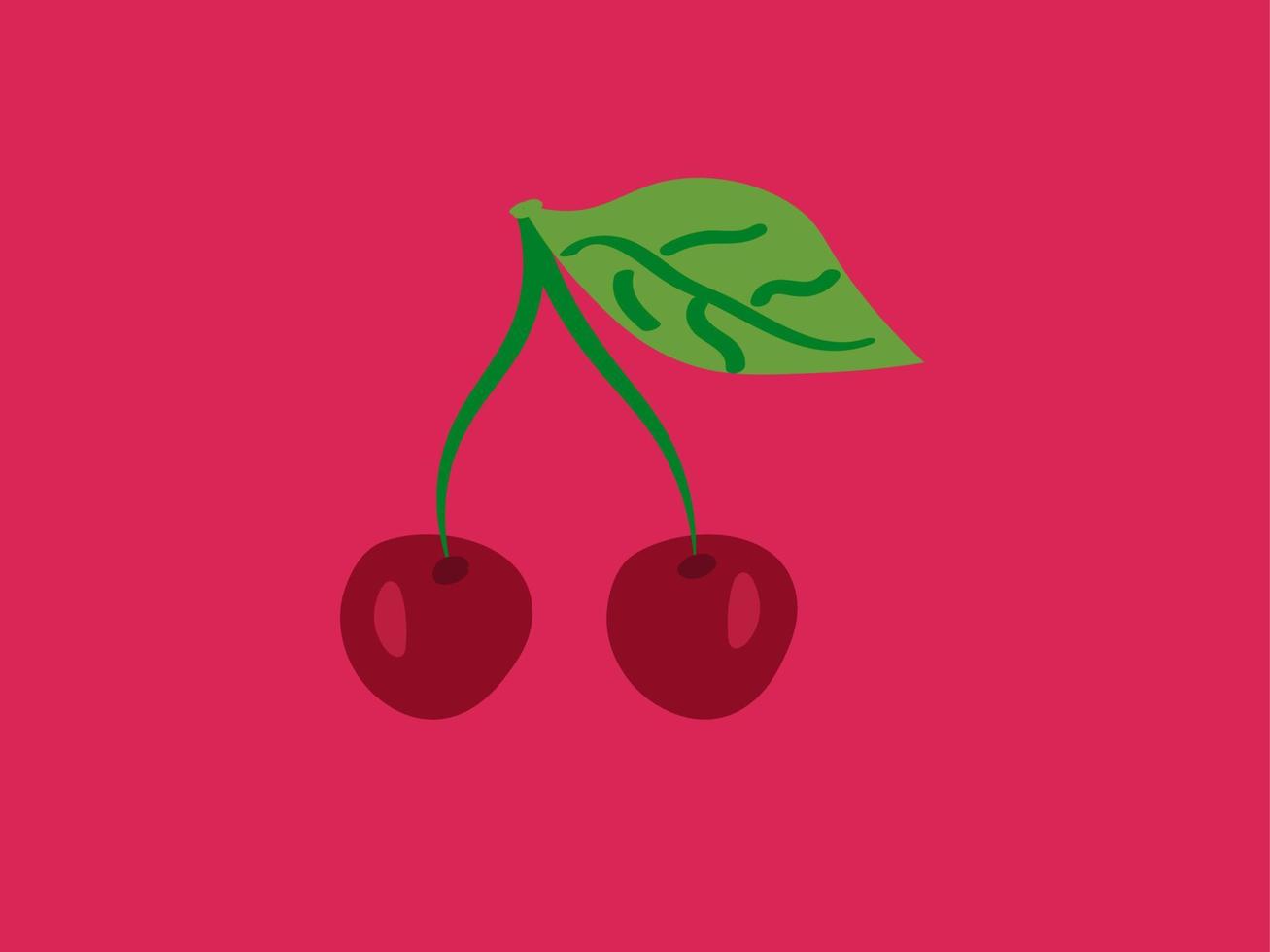 Cherry, illustration, vector on white background.