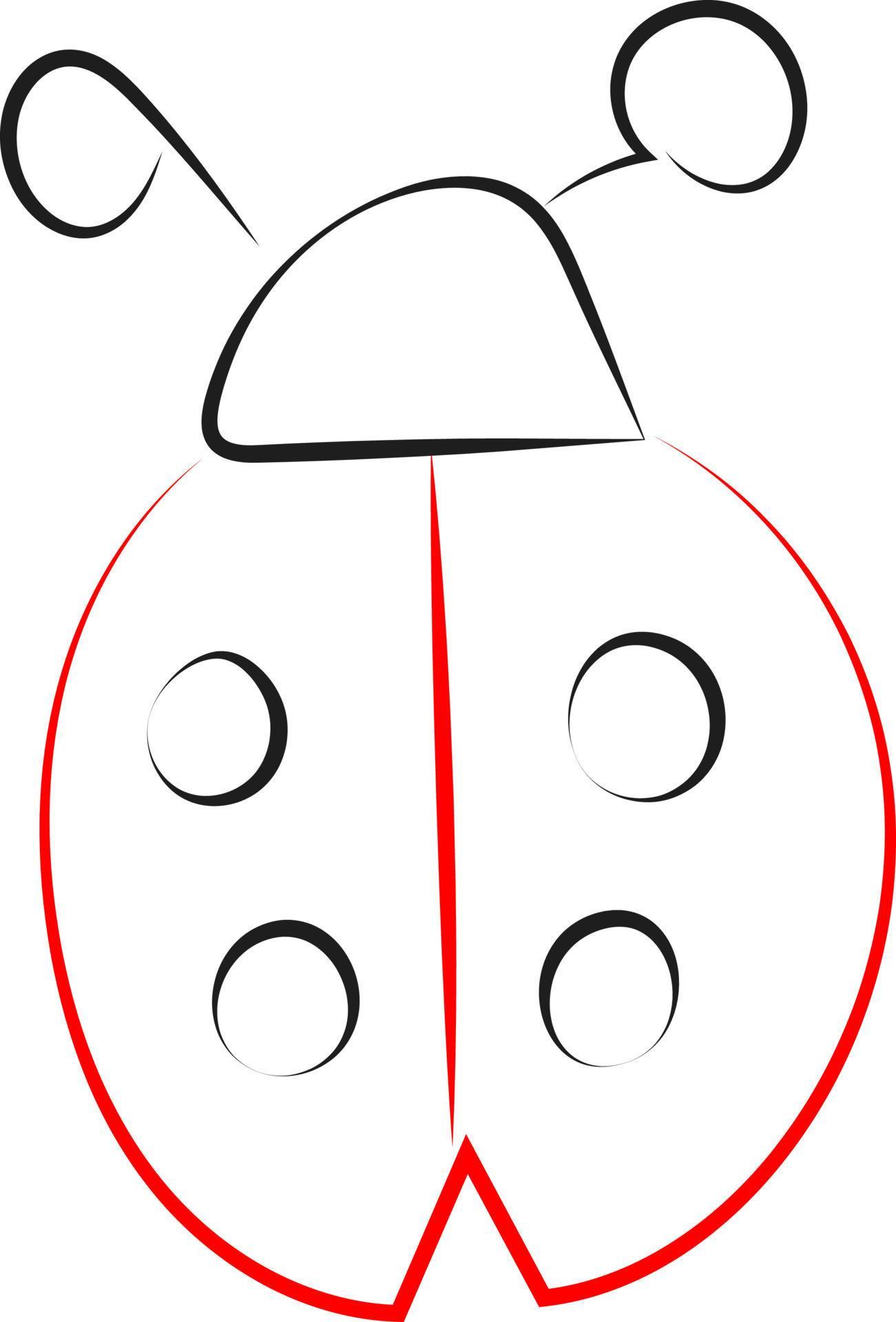 Ladybug drawing, illustration, vector on white background. 13606833 ...