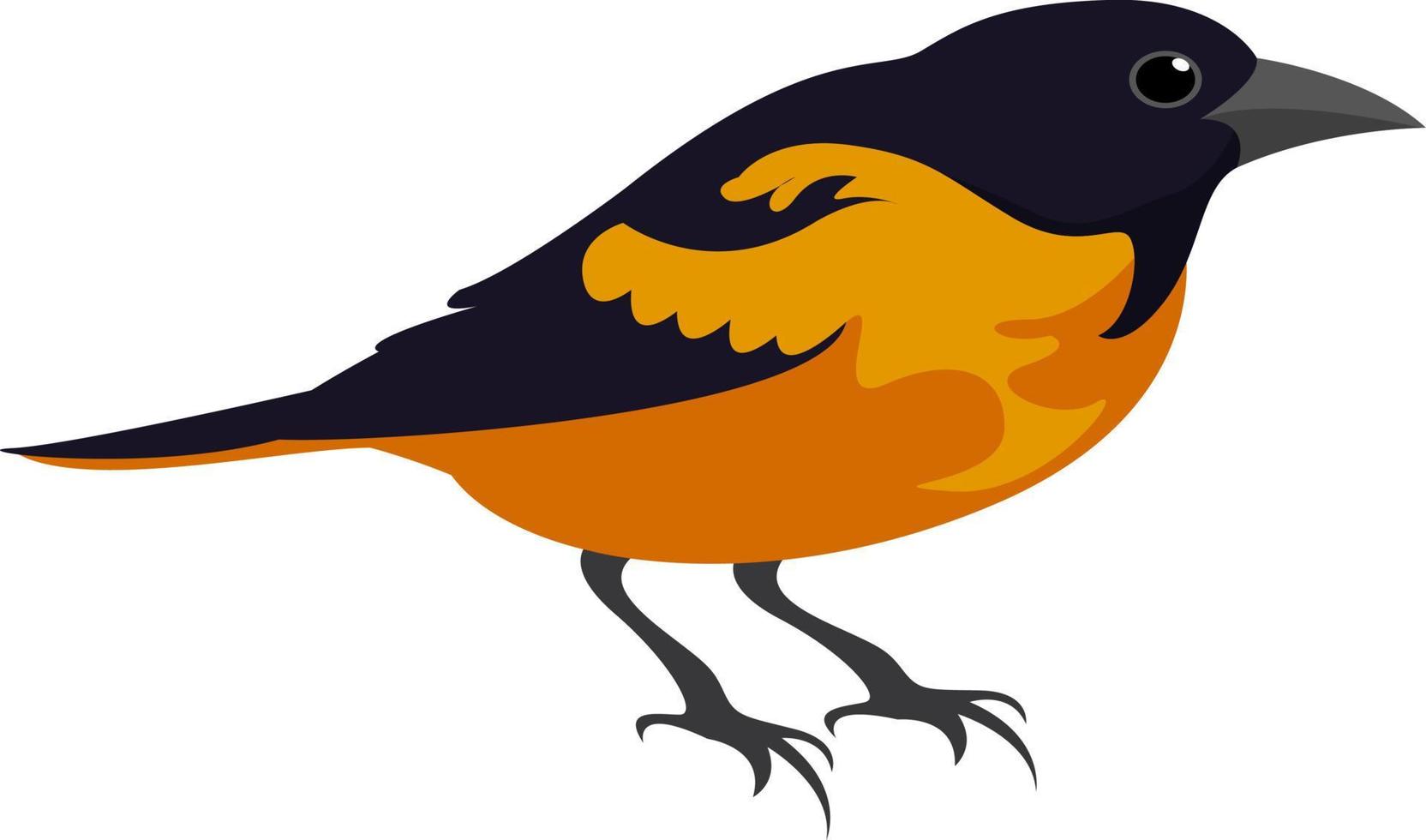 pájaro amarillo, ilustración, vector sobre fondo blanco