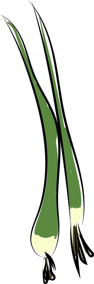 Green onion, illustration, vector on white background.