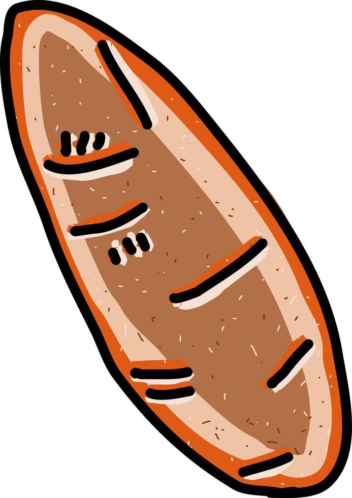 Sweet potato, illustration, vector on white background.