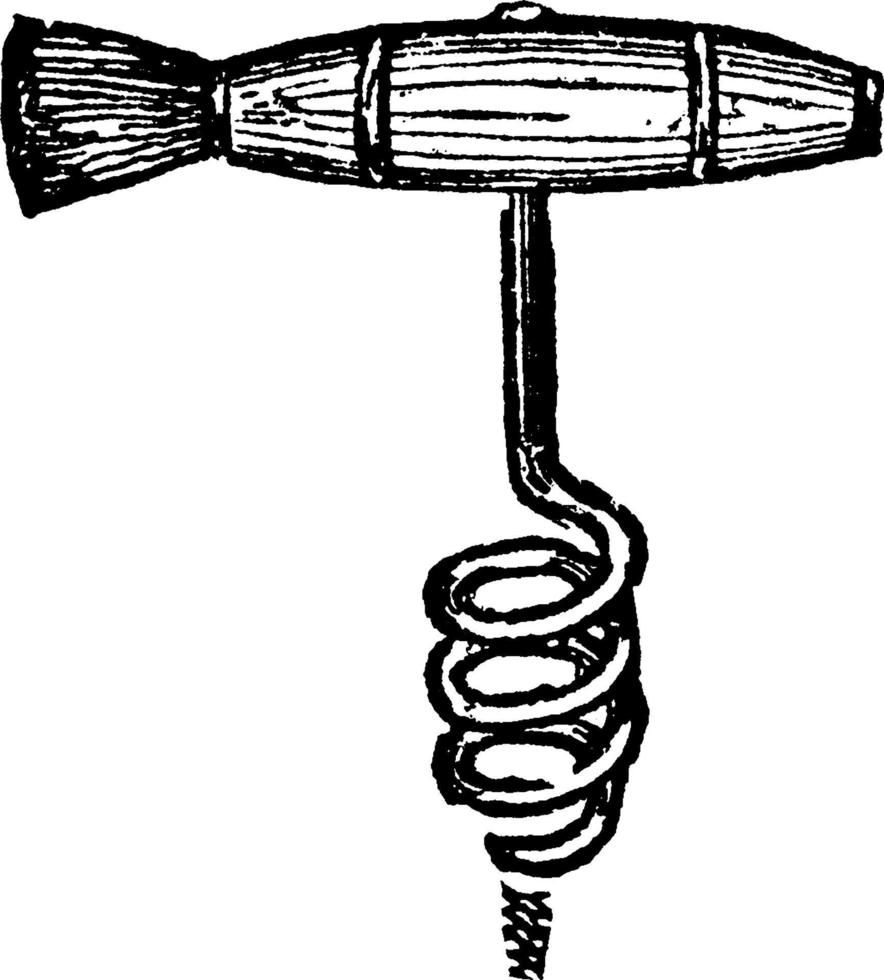 Corkscrew, vintage illustration. vector