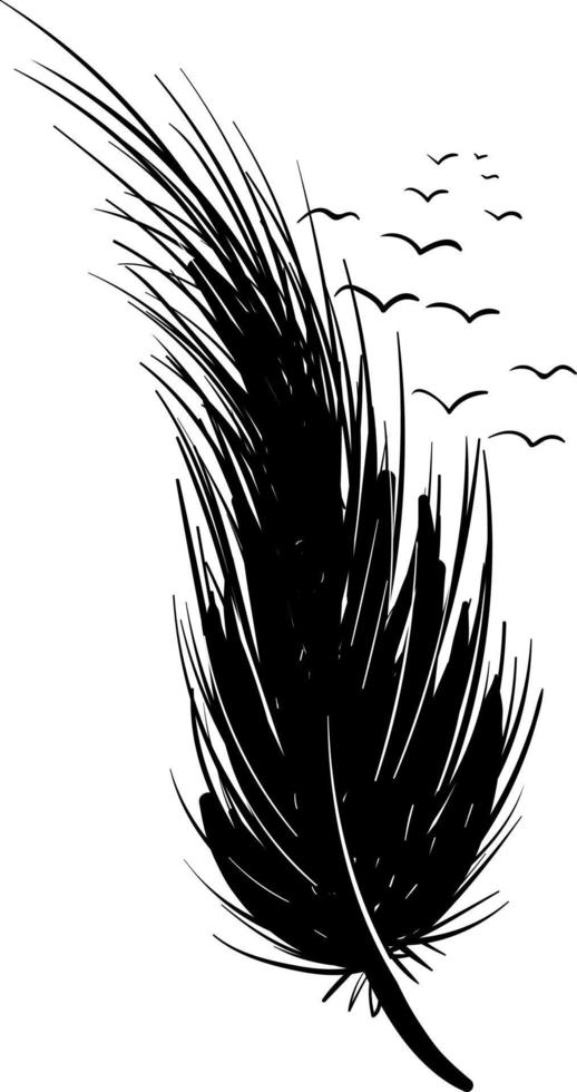 Black feather, illustration, vector on white background.