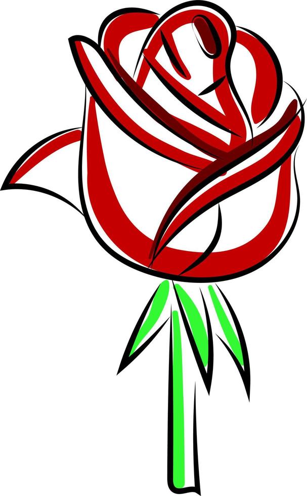 Red rose, illustration, vector on white background.