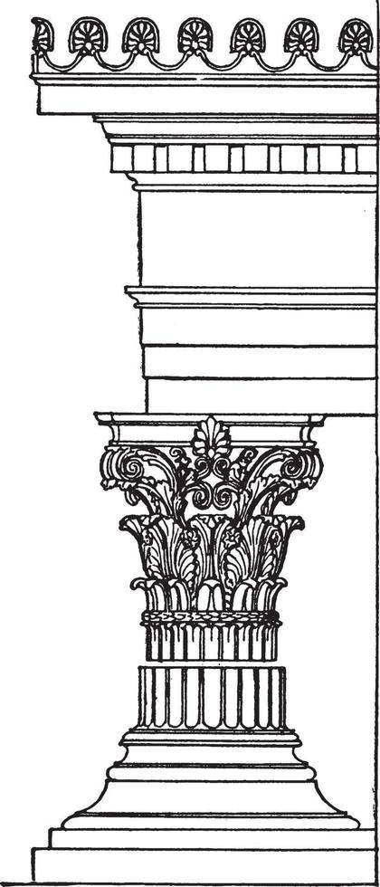 Greek Corinthian Order, organizational system,  vintage engraving. vector