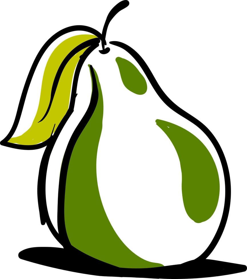 Green pear drawing, illustration, vector on white background.