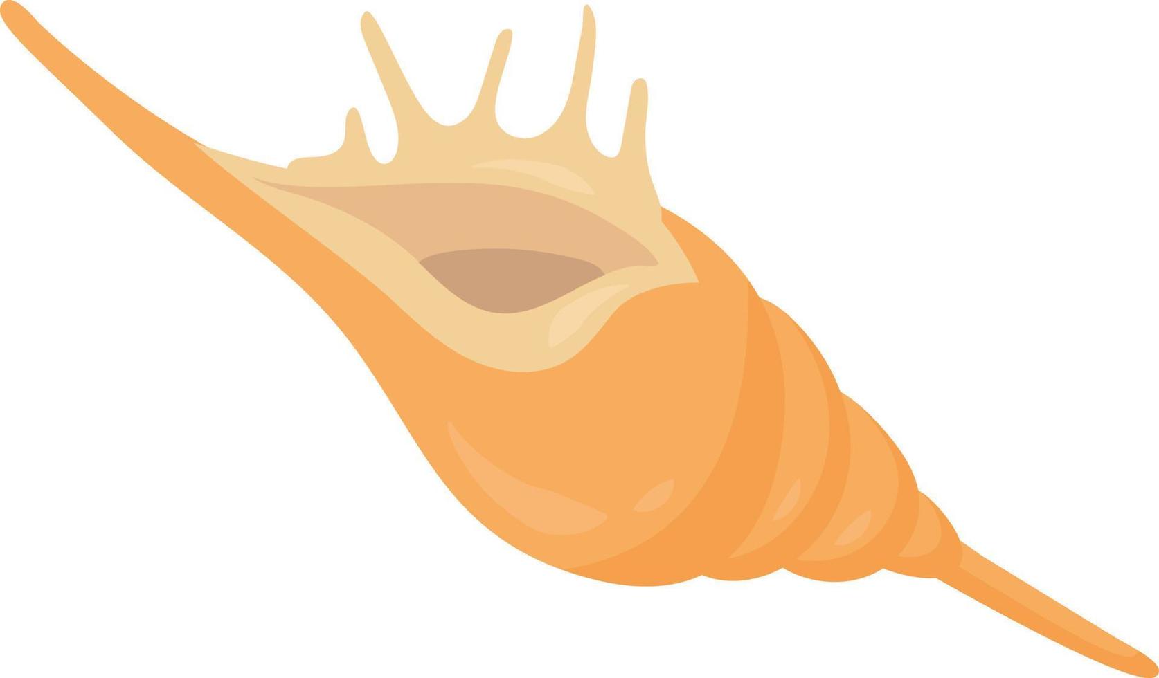 Pretty shell, illustration, vector on a white background.