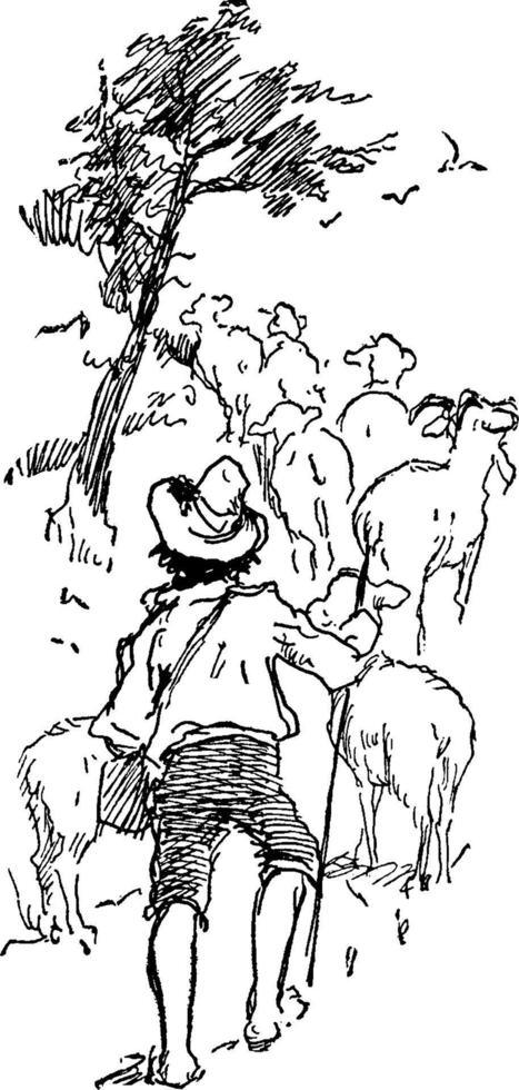 Boy Herding Goats, vintage illustration vector