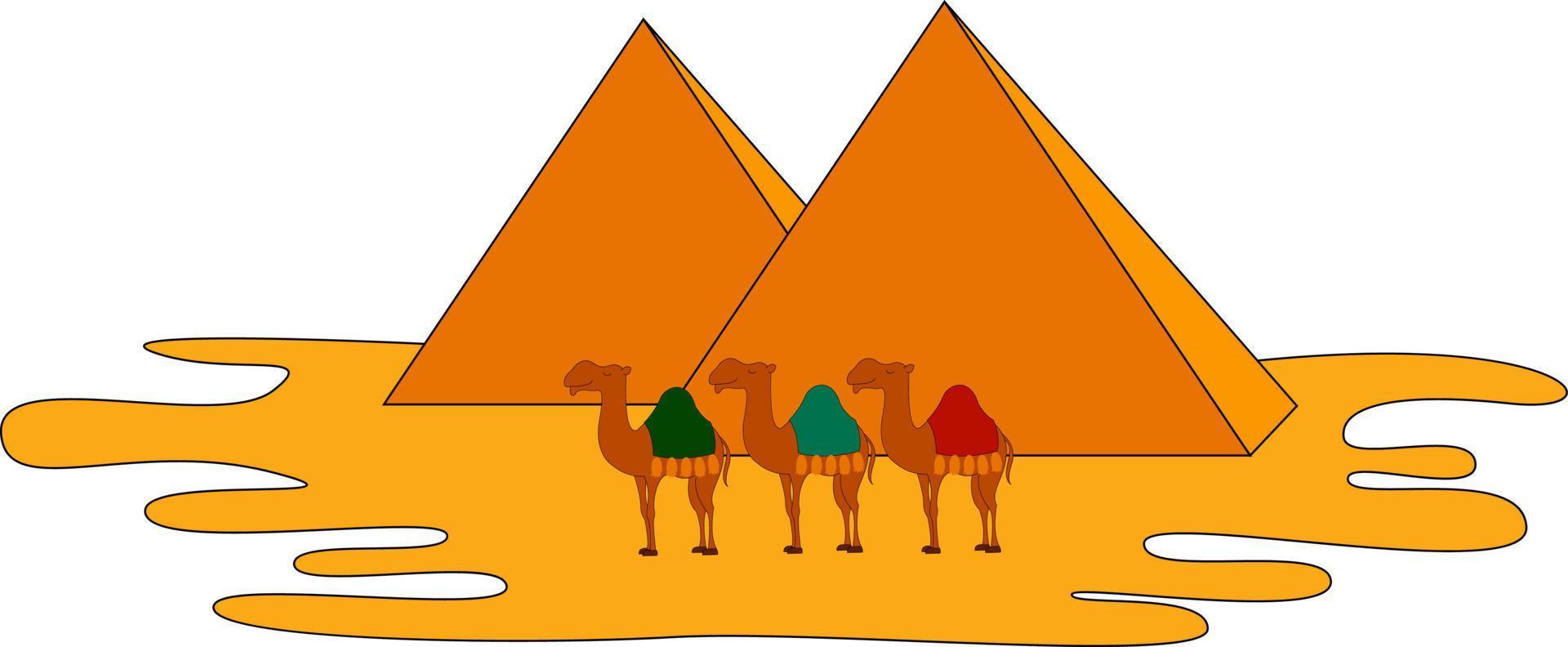 Camels and pyramids, illustration, vector on white background.