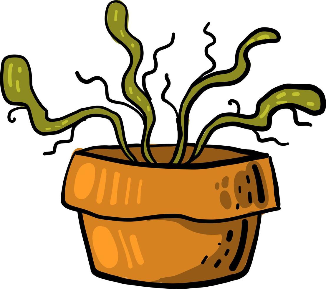 planta en maceta, ilustración, vector sobre fondo blanco