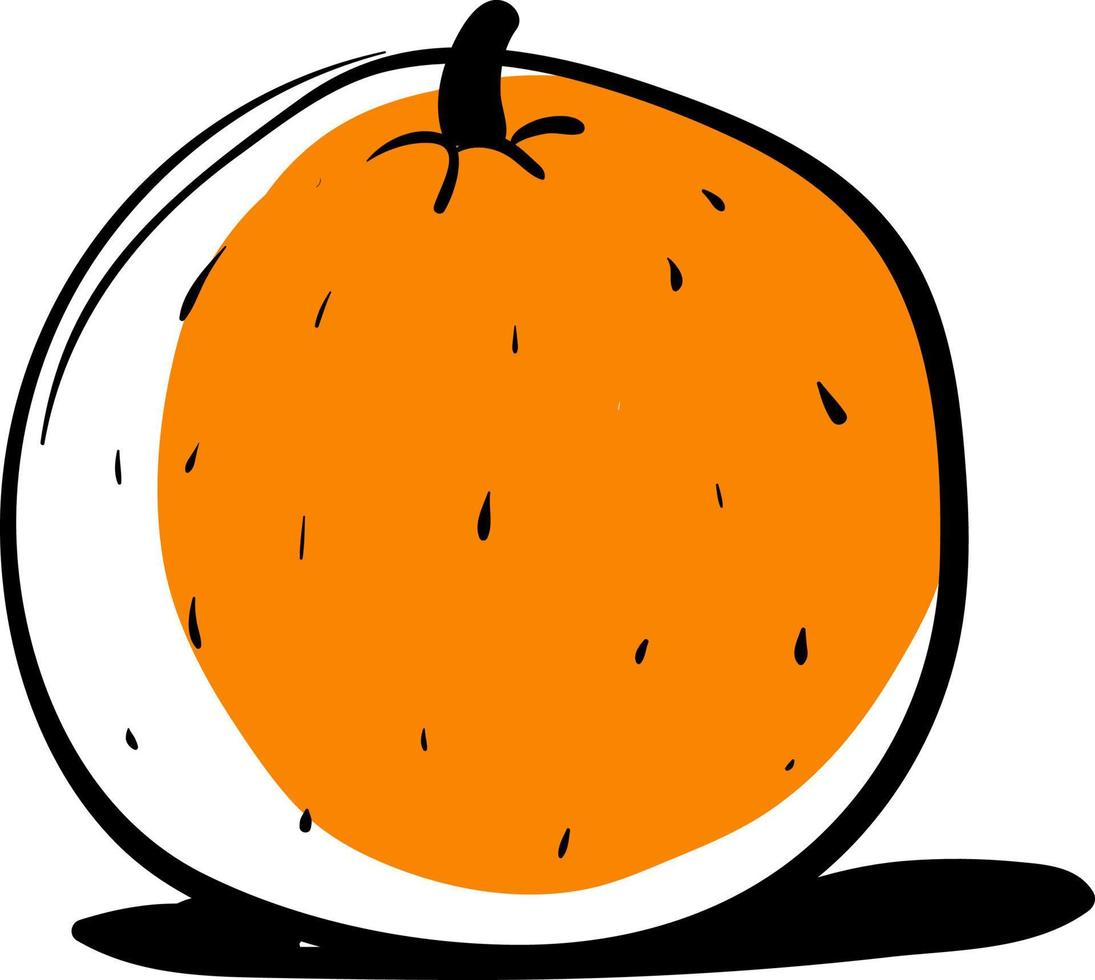 Orange drawing, illustration, vector on white background.