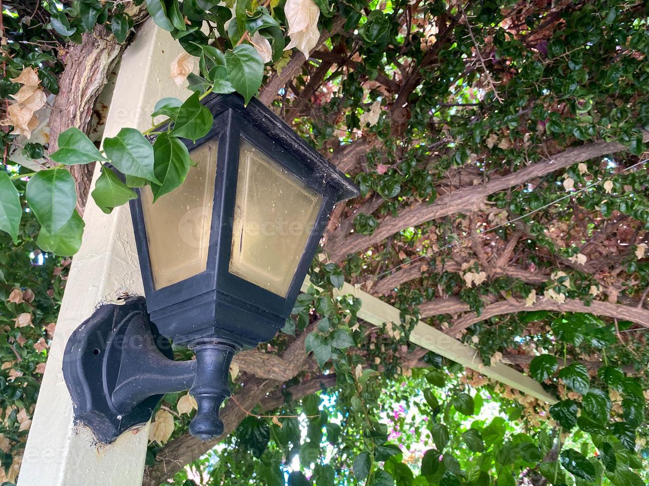 un hermoso poste de luz clásico antiguo en un arbusto de plantas con hojas verdes foto