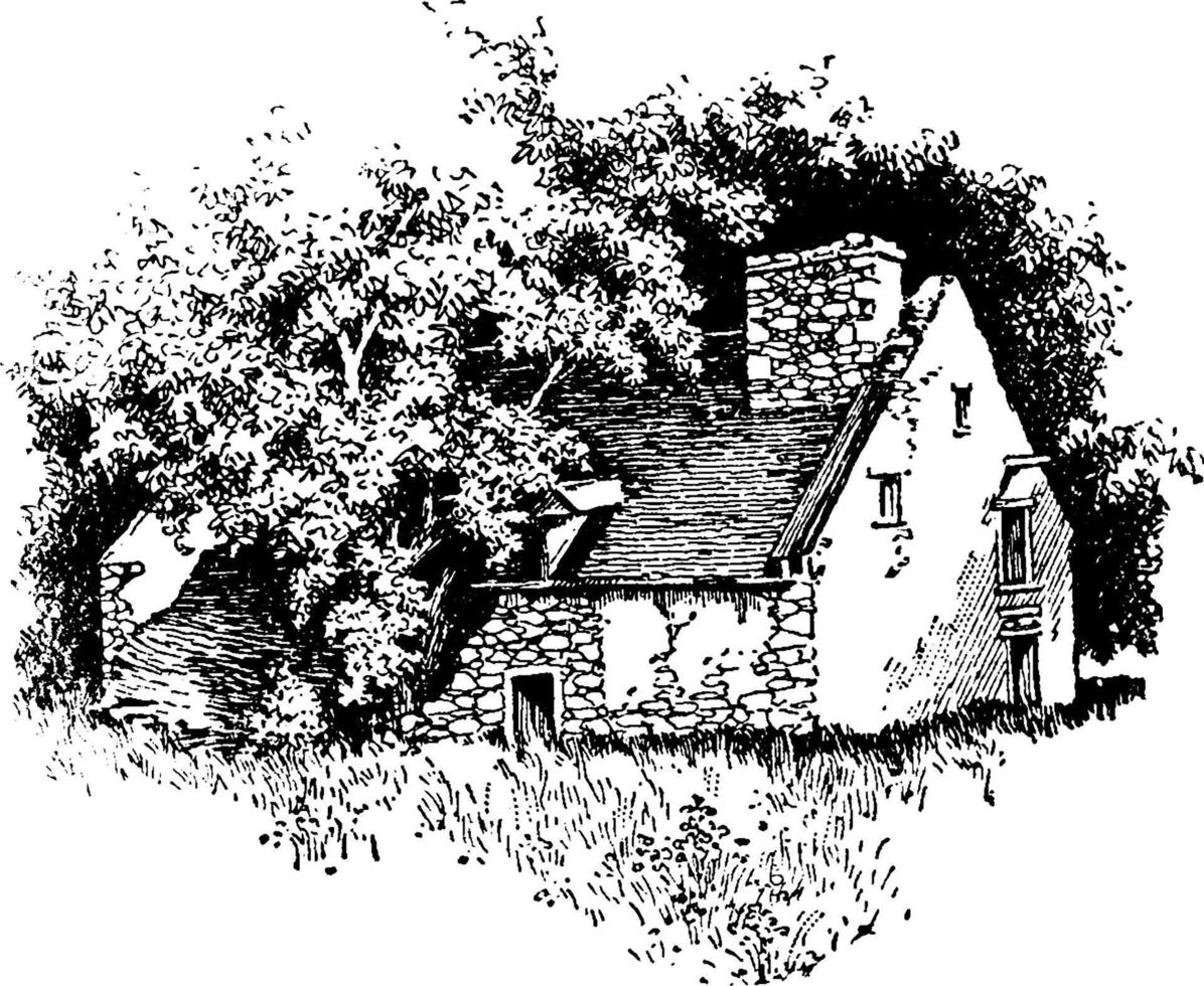 La Salle's House,vintage illustration. vector