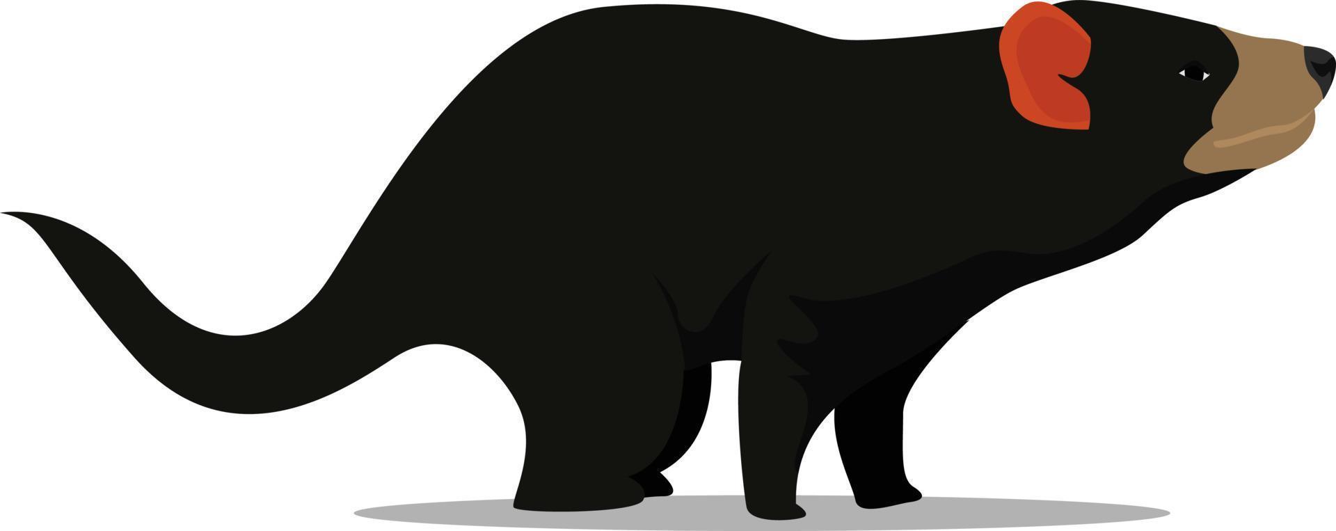 Tasmanian devil, illustration, vector on white background