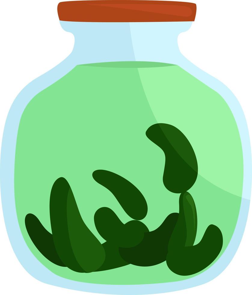 Pickles in jar , illustration, vector on white background