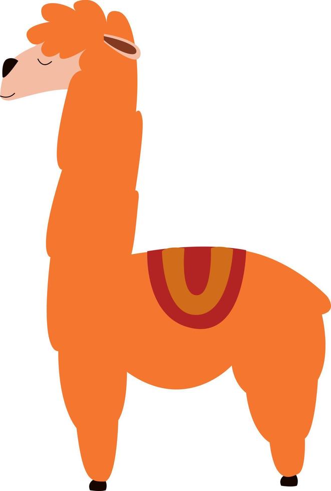 Orange lama, illustration, vector on white background.