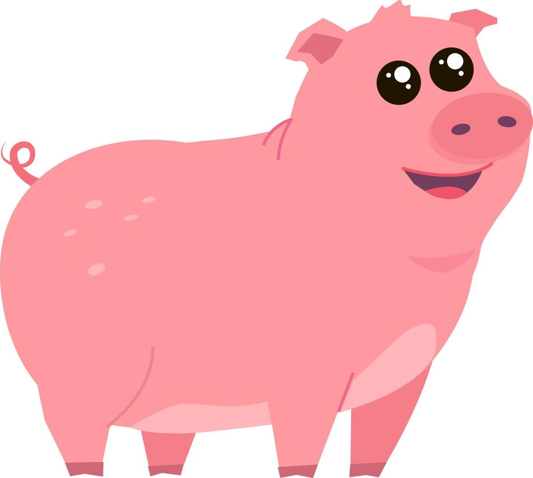 Cute little pig, illustration, vector on white background.