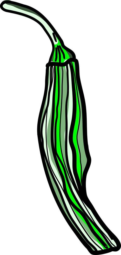 Pimiento verde seco, ilustración, vector sobre fondo blanco.