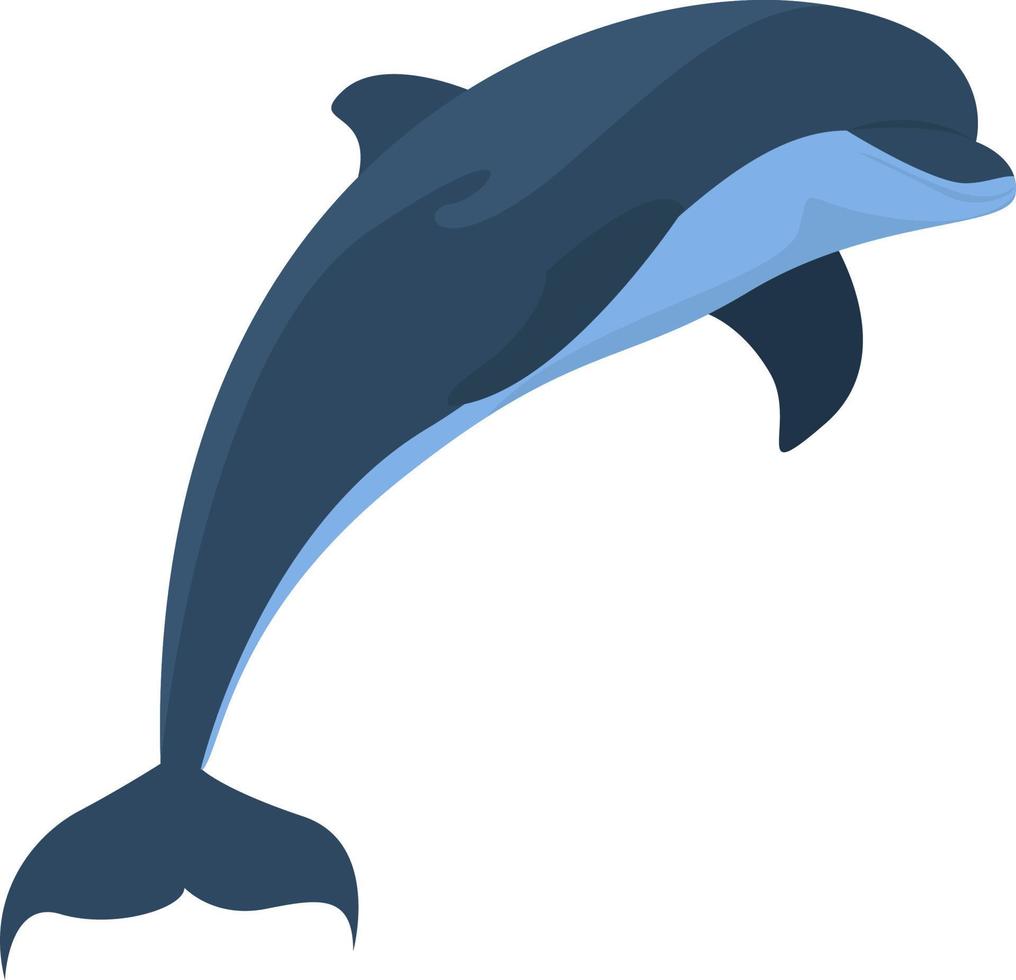 Dolphin jumping, illustration, vector on white background